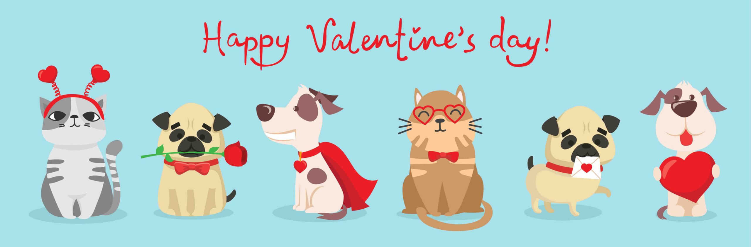 Dogs and Cats for Valentines Day